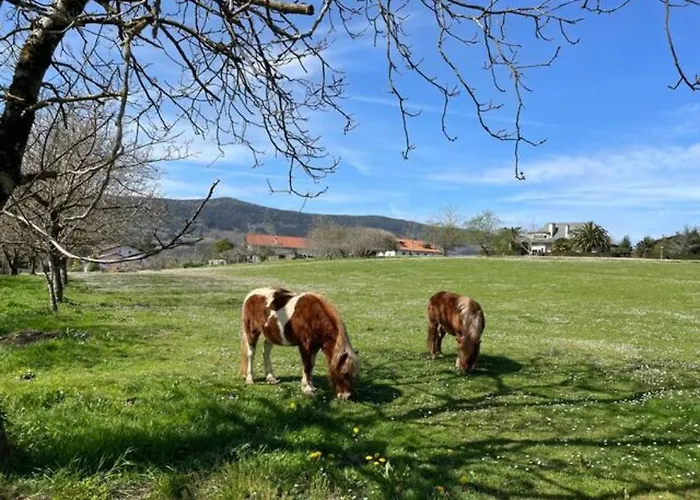 Ven Y Disfruta En El Corazon De Bizkaia-urdaibai Lbi00509 Gautegiz Arteaga