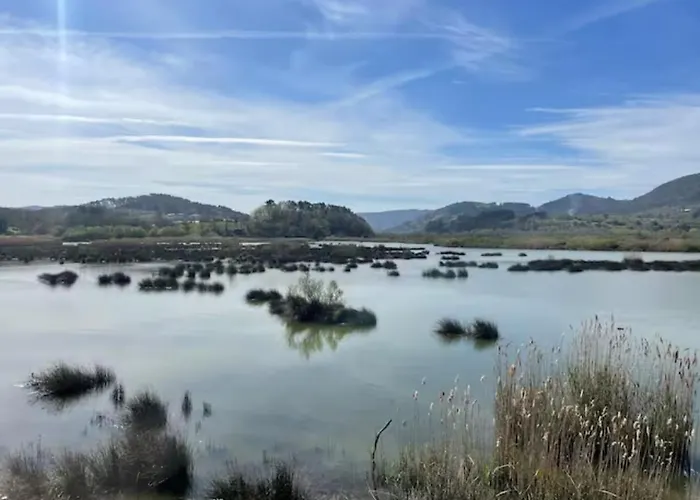 Tatil Evi Ven Y Disfruta En El Corazon De Bizkaia-urdaibai Lbi00509 *