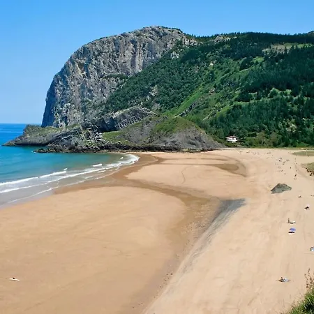 Ven Y Disfruta En El Corazon De Bizkaia-urdaibai