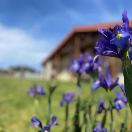 Ven Y Disfruta En El Corazon De Bizkaia-urdaibai Holiday home