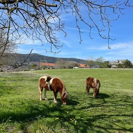 Ven Y Disfruta En El Corazon De Bizkaia-urdaibai Gautegiz Arteaga