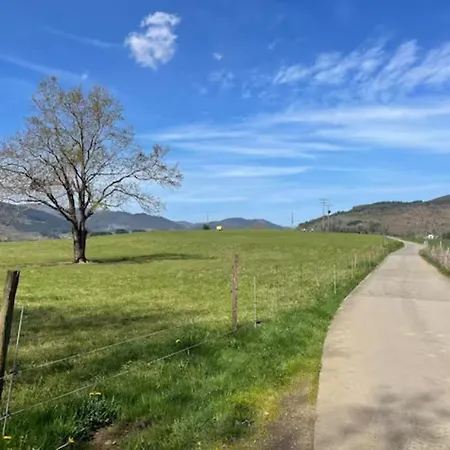 Ven Y Disfruta En El Corazon De Bizkaia-urdaibai * Gautegiz Arteaga