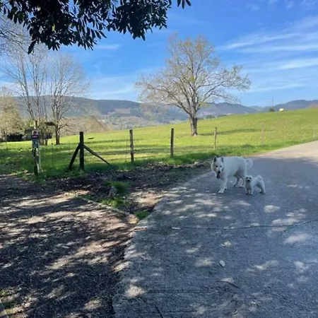 Ven Y Disfruta En El Corazón De Bizkaia-urdaibai Lbi00509