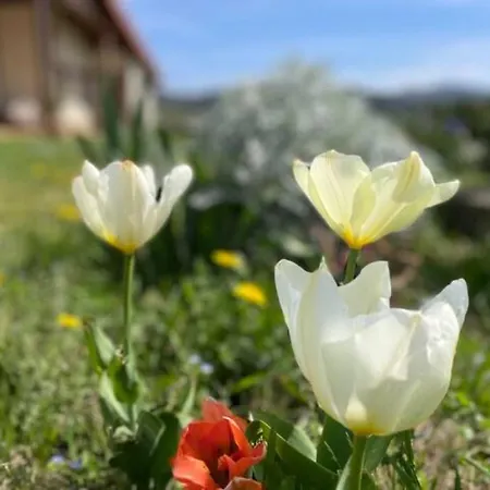 Holiday home Ven Y Disfruta En El Corazon De Bizkaia-urdaibai *