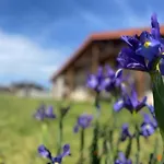Ven Y Disfruta En El Corazon De Bizkaia-urdaibai Lbi00509 別荘