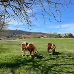Ven Y Disfruta En El Corazon De Bizkaia-urdaibai Lbi00509 Gautegiz Arteaga