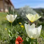 別荘 Ven Y Disfruta En El Corazon De Bizkaia-urdaibai Lbi00509 *