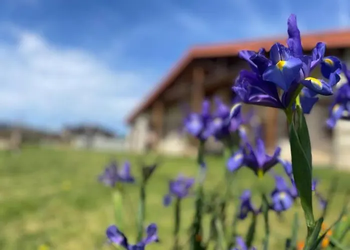 Ven Y Disfruta En El Corazon De Bizkaia-urdaibai Lbi00509 Tatil Evi