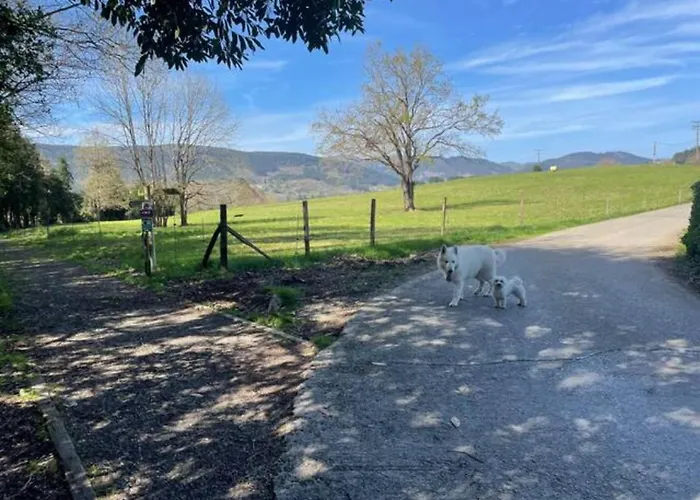 Ven Y Disfruta En El Corazon De Bizkaia-urdaibai Lbi00509