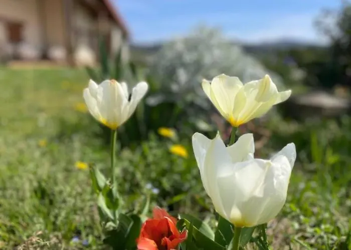 Tatil Evi Ven Y Disfruta En El Corazon De Bizkaia-urdaibai Lbi00509 *